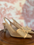 Scarpa