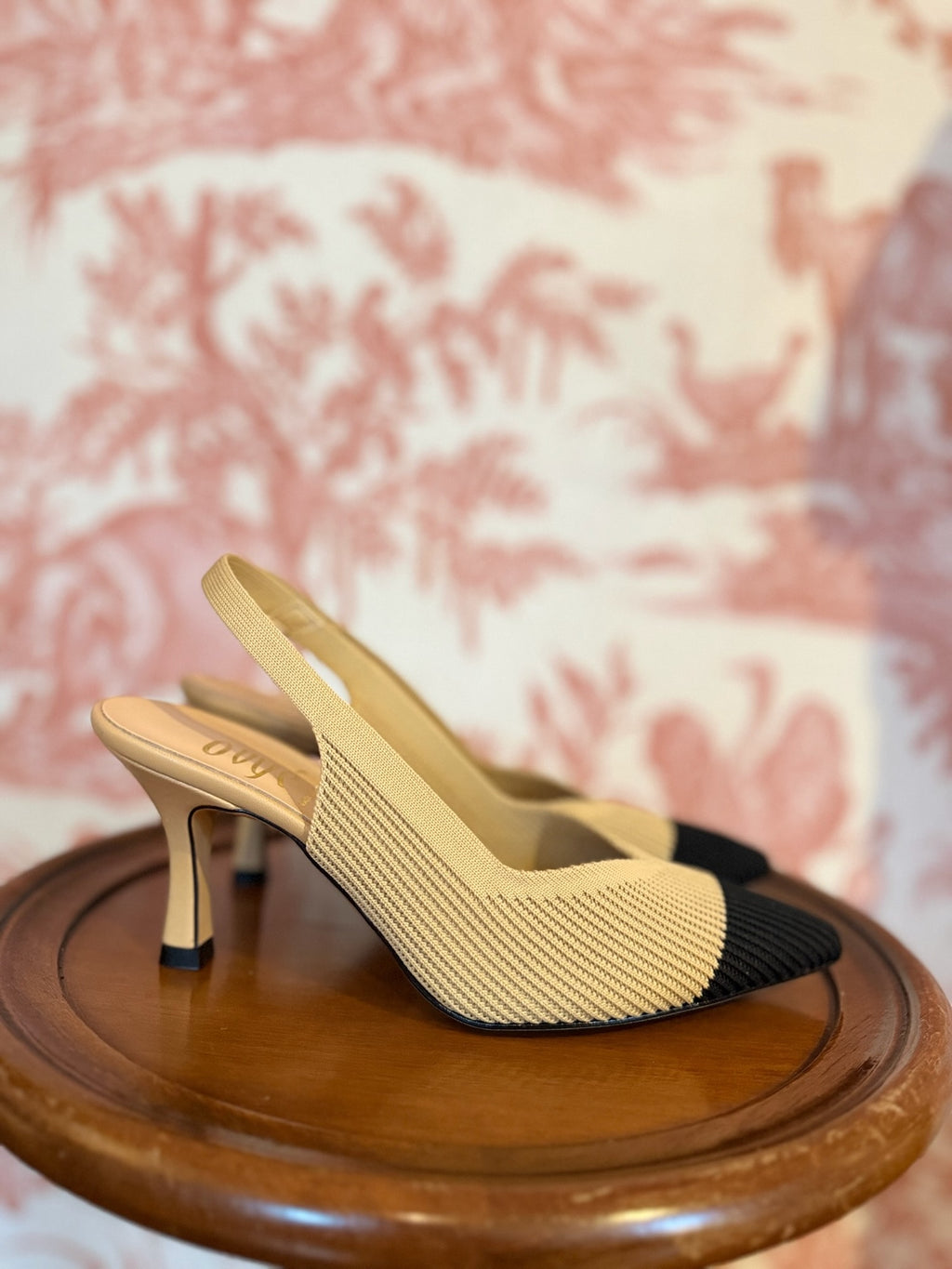 Scarpa